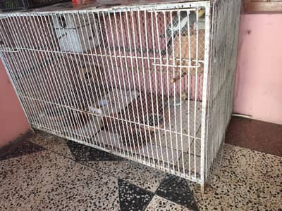 big cage 3.6 feet by 2feet