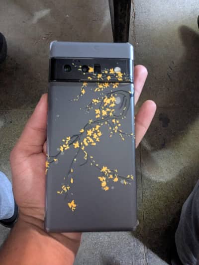 Google Pixel 6 Pro exchange possible ha