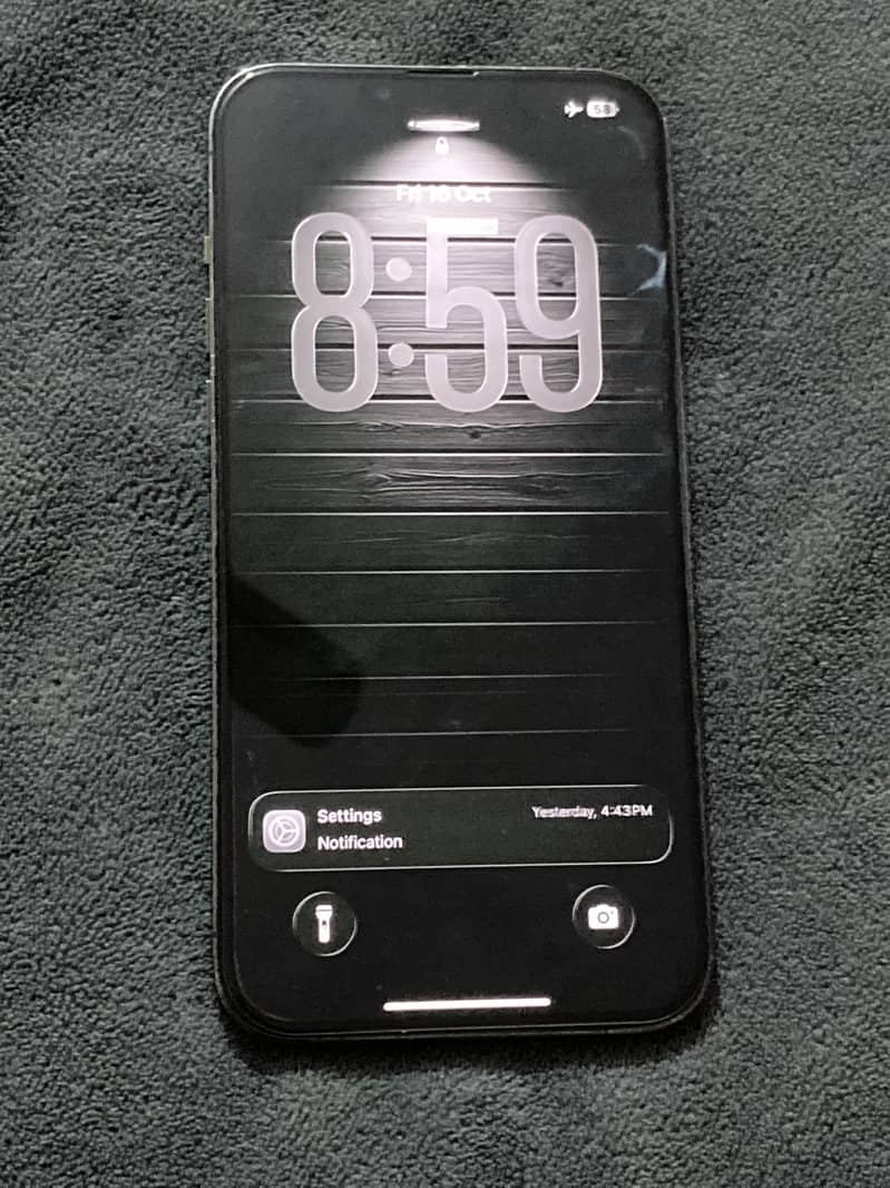 iPhone 13 Pro Max 1