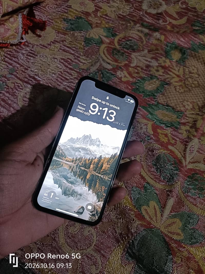 Apple iPhone X  original panel 0