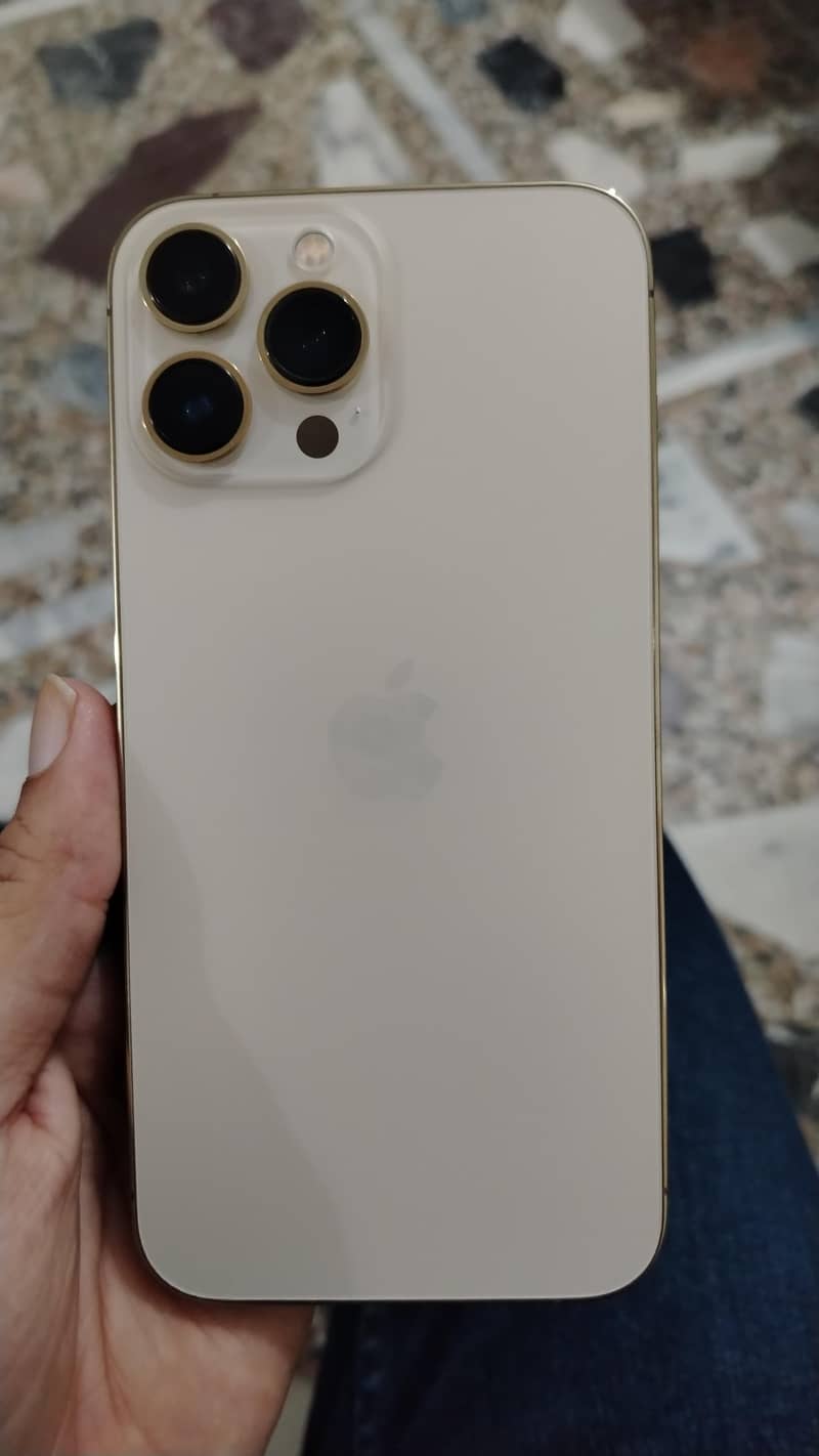 Apple iPhone 13 Pro Max 1