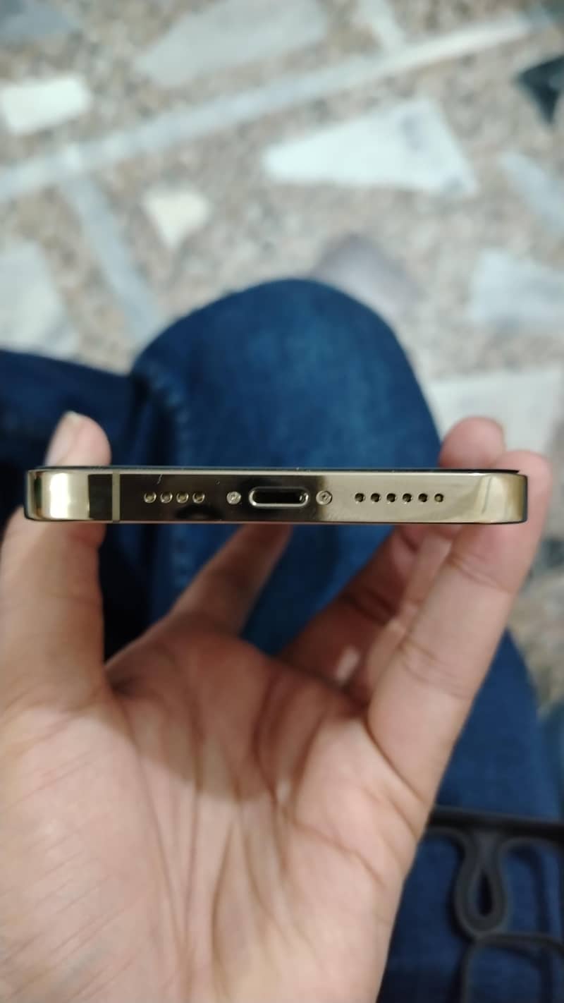 Apple iPhone 13 Pro Max 2