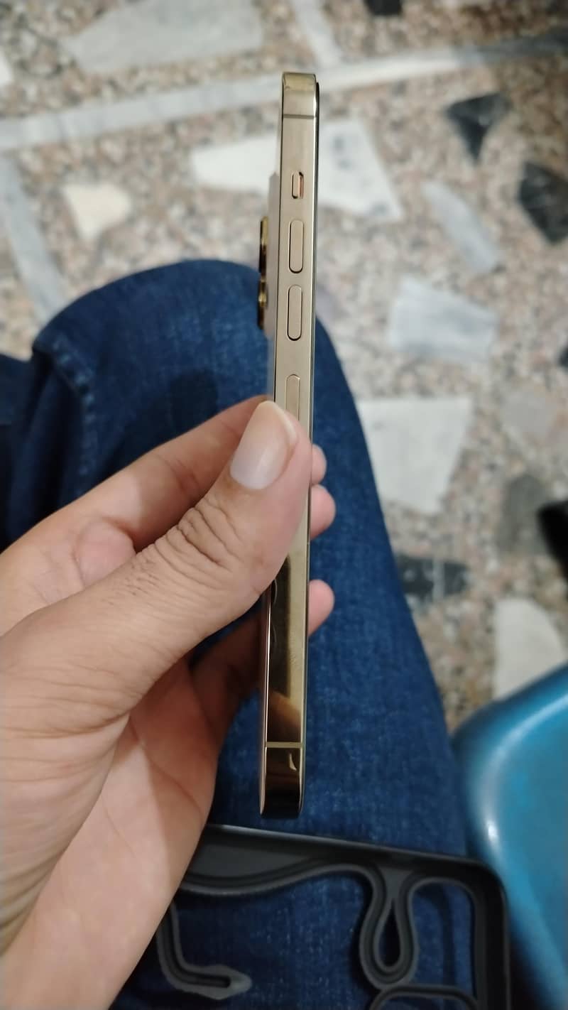 Apple iPhone 13 Pro Max 3