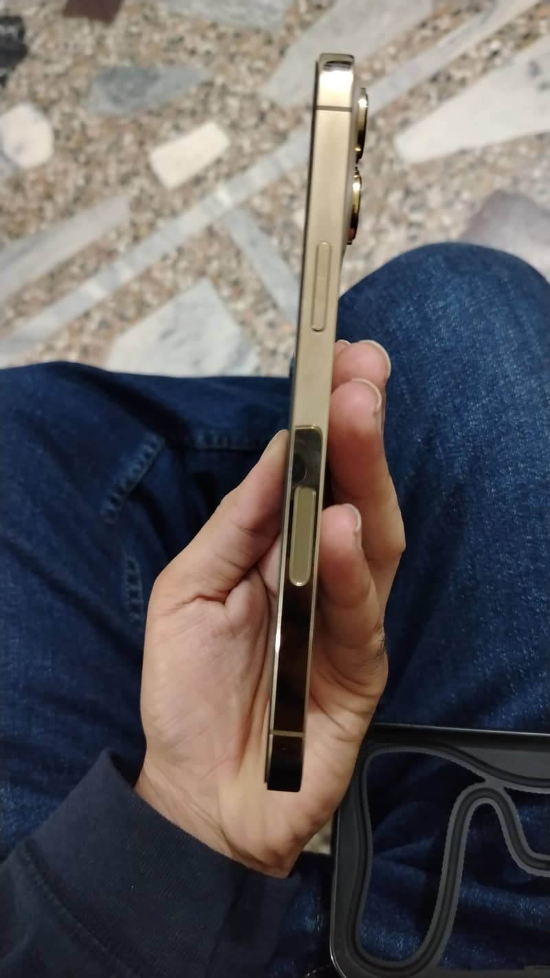 Apple iPhone 13 Pro Max 4