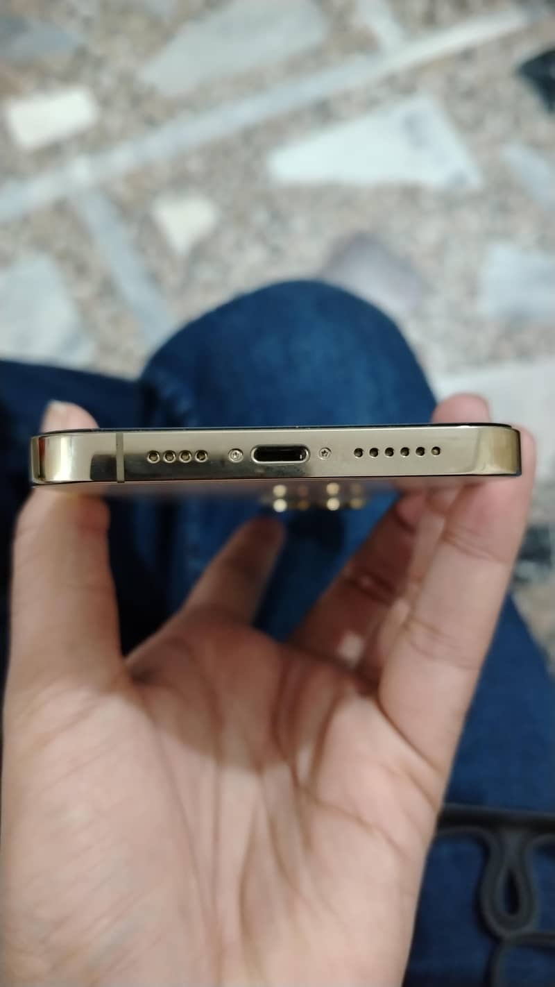Apple iPhone 13 Pro Max 7
