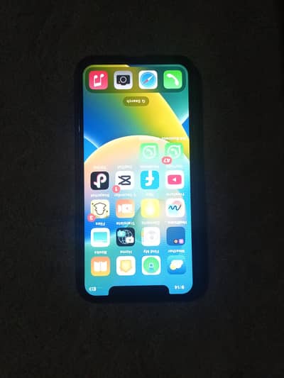 Apple iPhone X