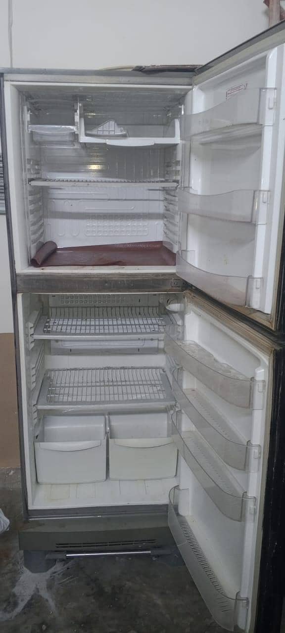 pel fridge 1