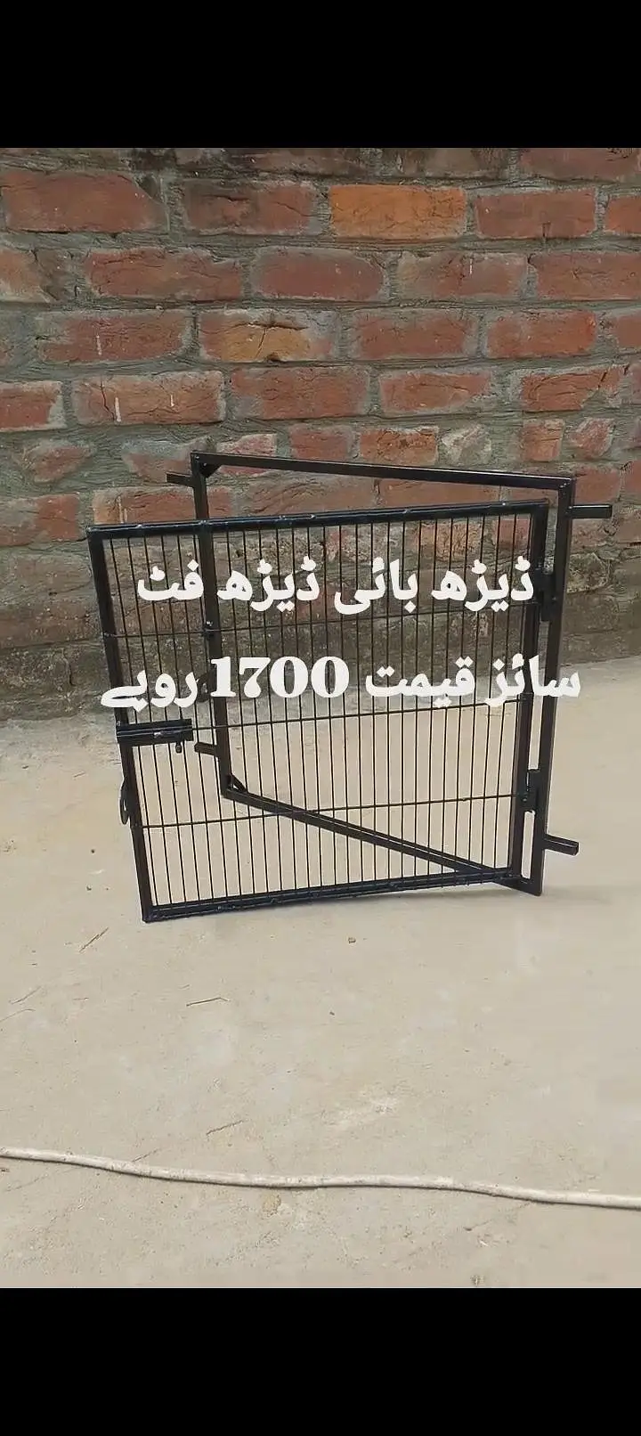اصیل مرغوں کے دروازے — photo 2