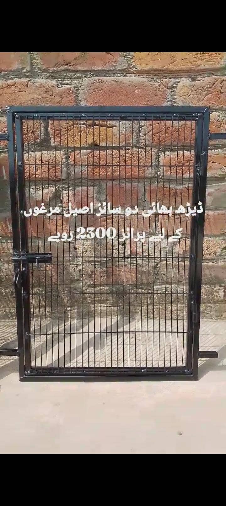 اصیل مرغوں کے دروازے 2