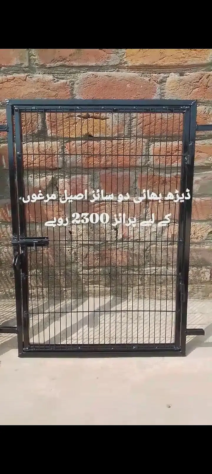 اصیل مرغوں کے دروازے — photo 3