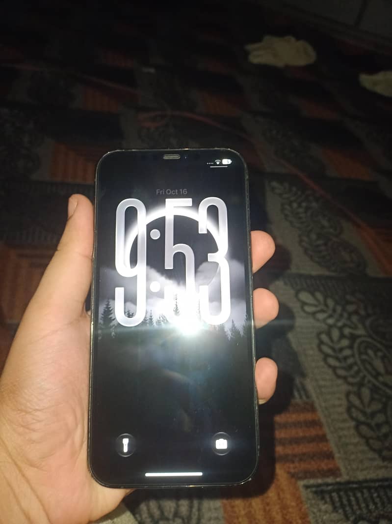 Apple iPhone 12 Pro Max 1