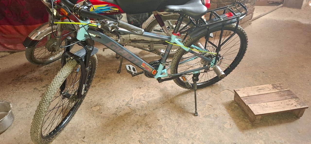 MTB cycle 1