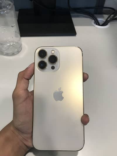 Apple iPhone 13 Pro Max