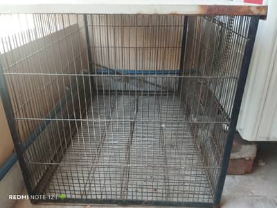 BIRDS CAGE