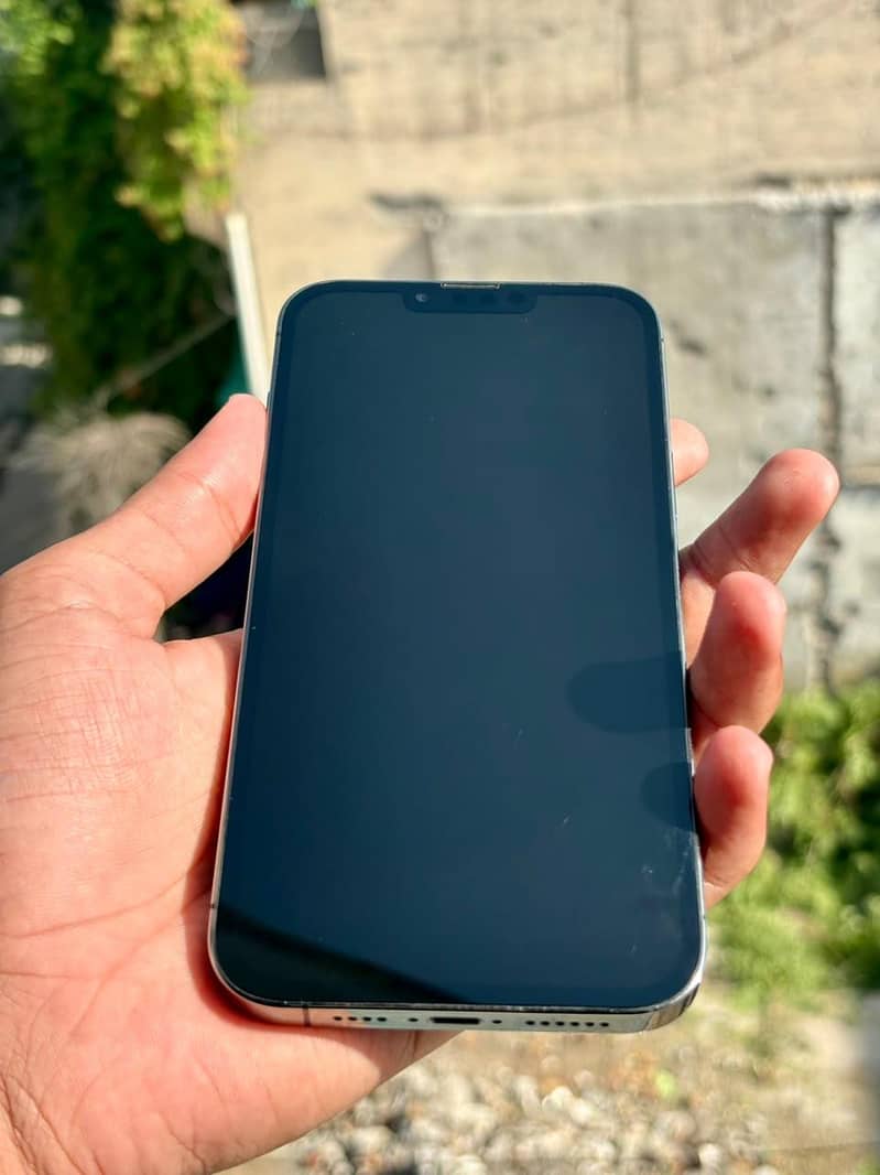 Apple iPhone 13 Pro Max 1