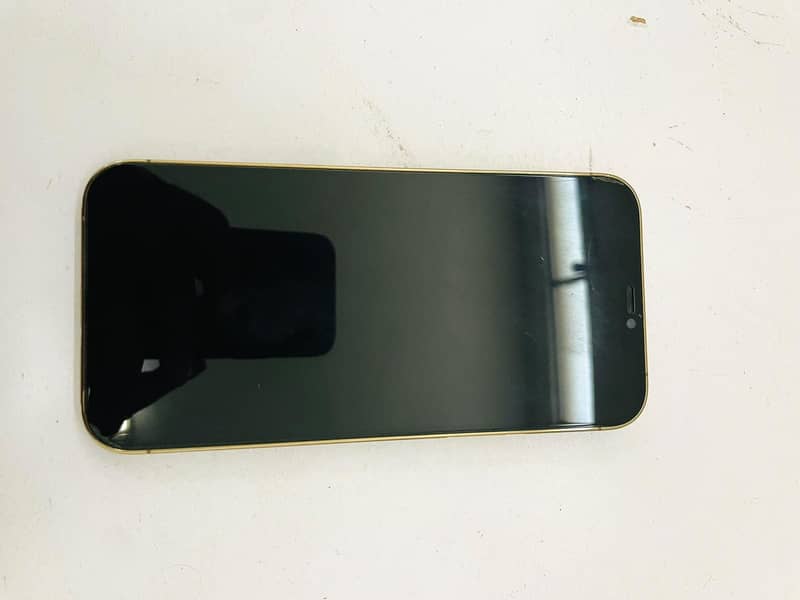 Apple iPhone 12 Pro Max 8
