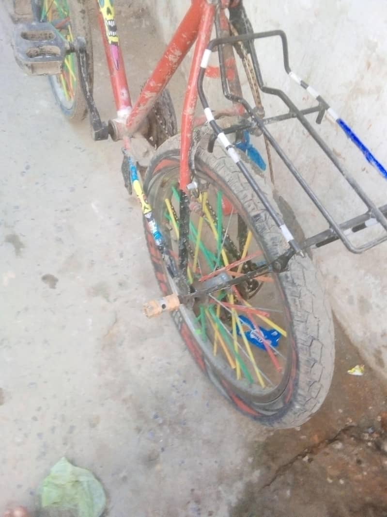 phonix cyle 3