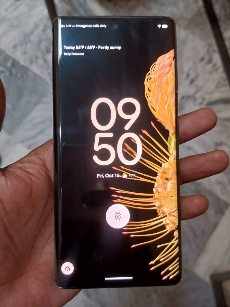 Google Pixel 6 Pro 2