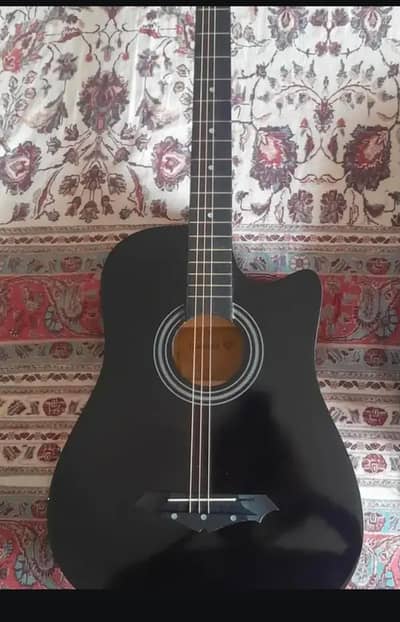 Beginner Acoustic Guitar