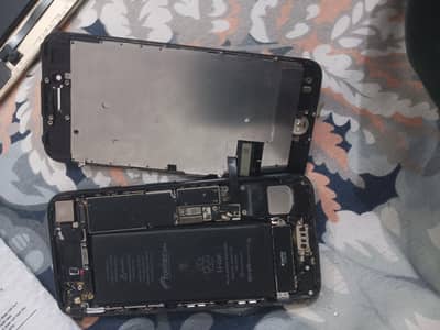 Apple iPhone 7