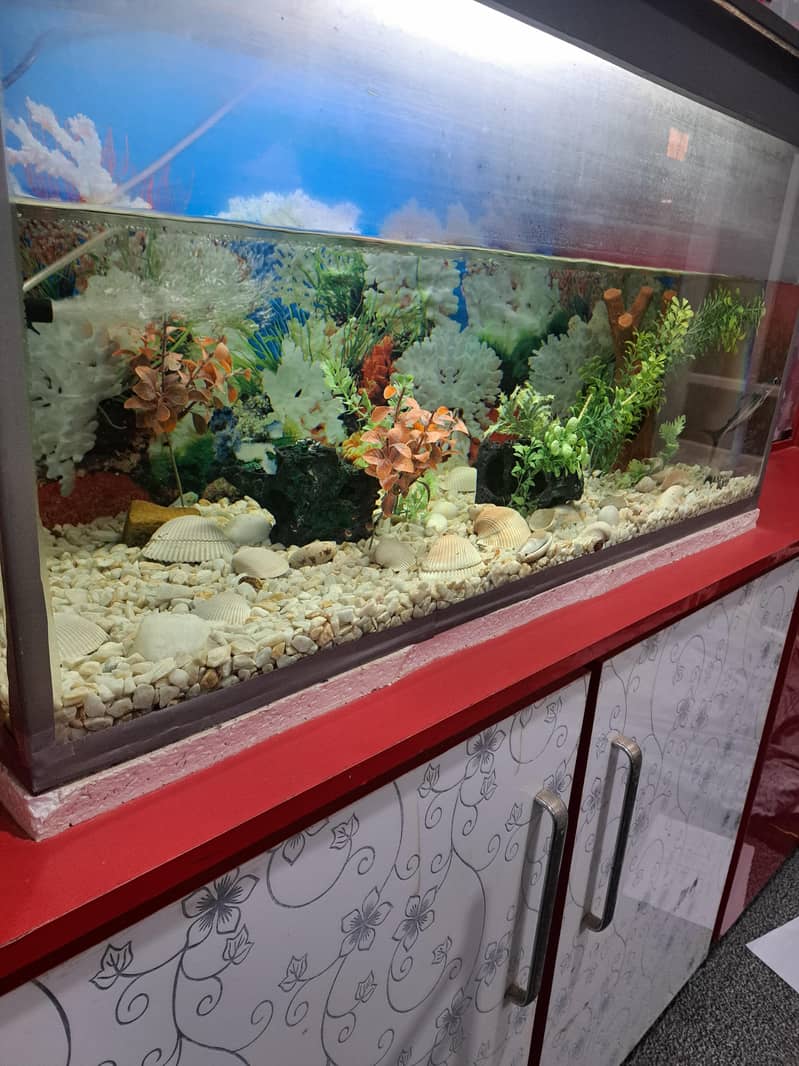 Aquarium 2