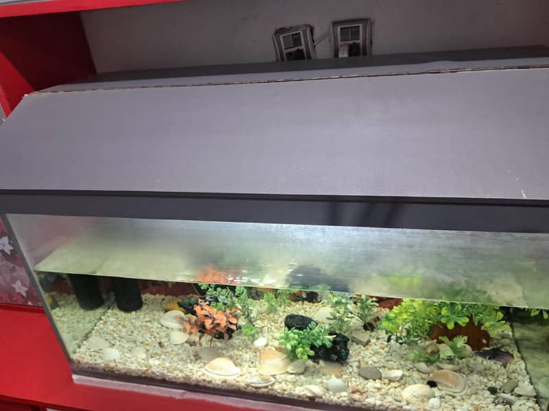 Aquarium 8