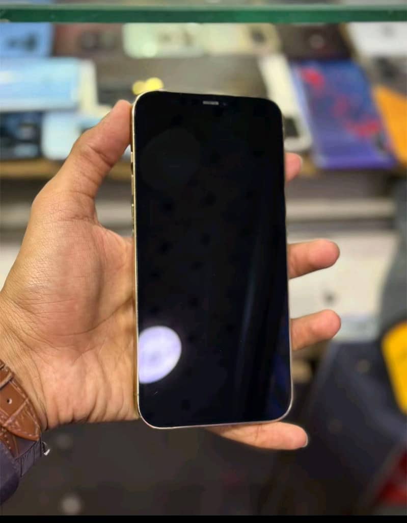 Apple iPhone 12 Pro Max 2