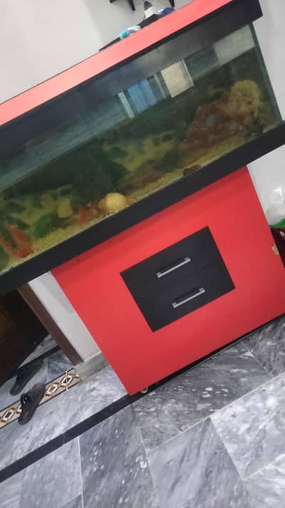 Aquarium For Sale
