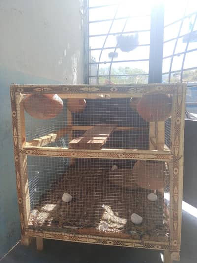 cages