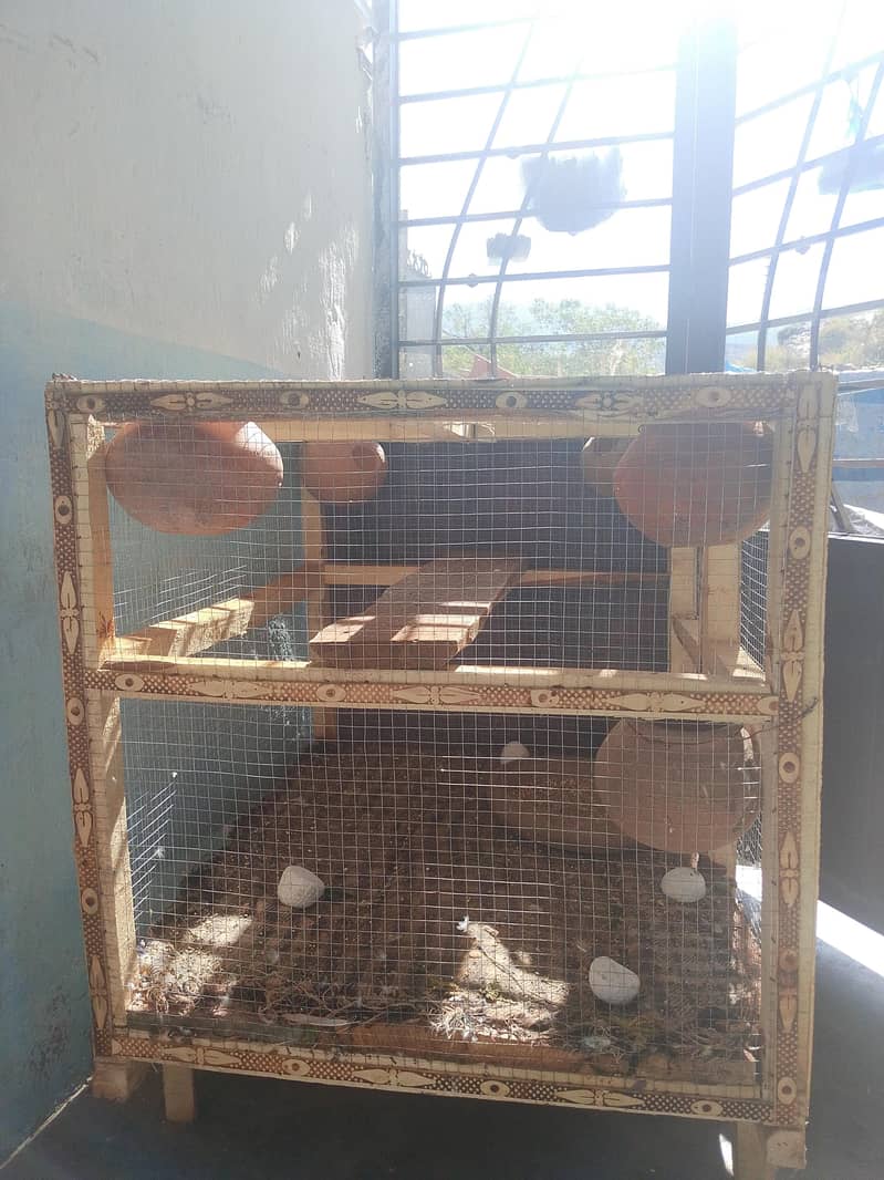 cages 0