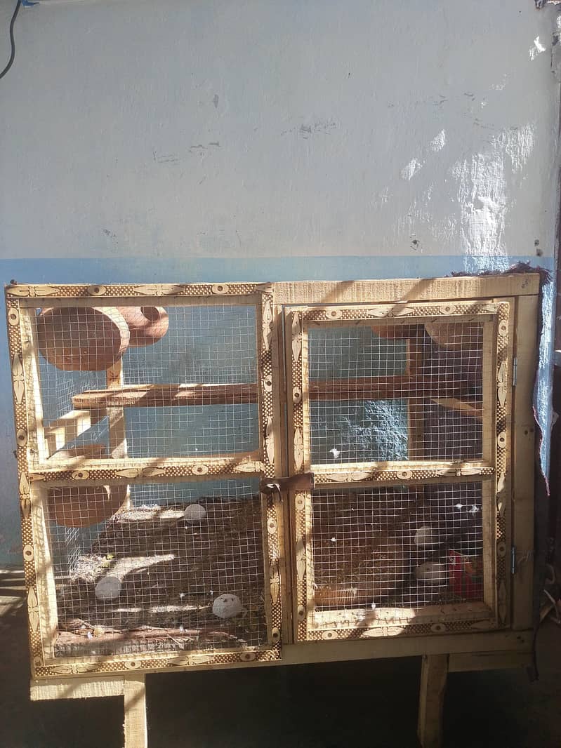 cages 1