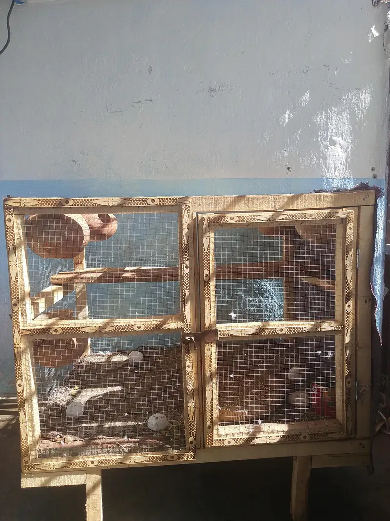 cages — photo 2