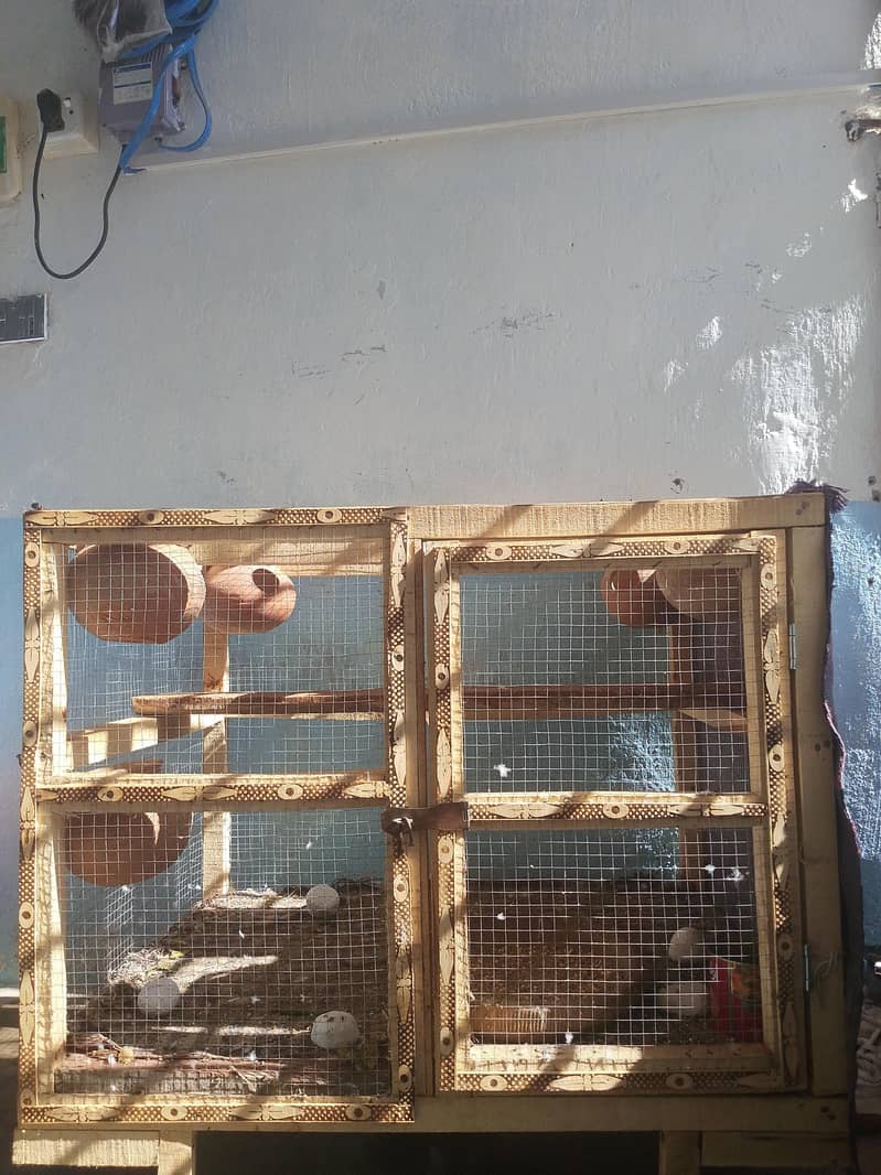 cages 2