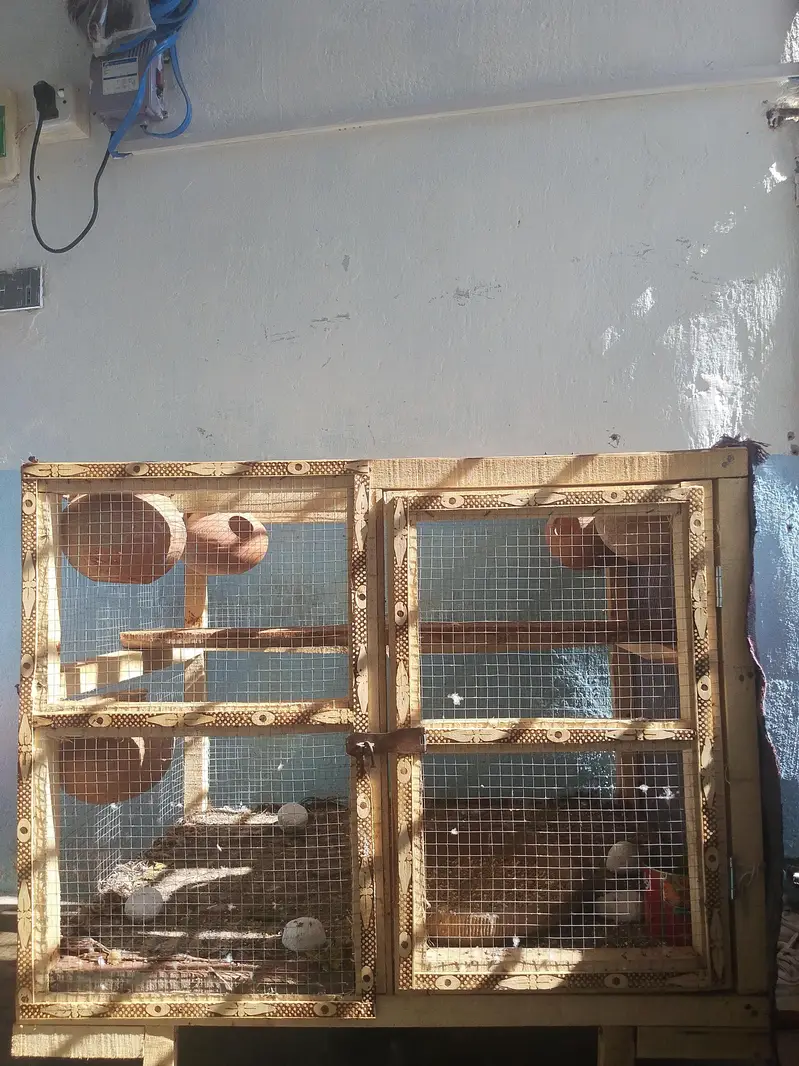 cages — photo 3