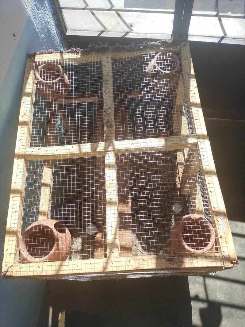 cages 3