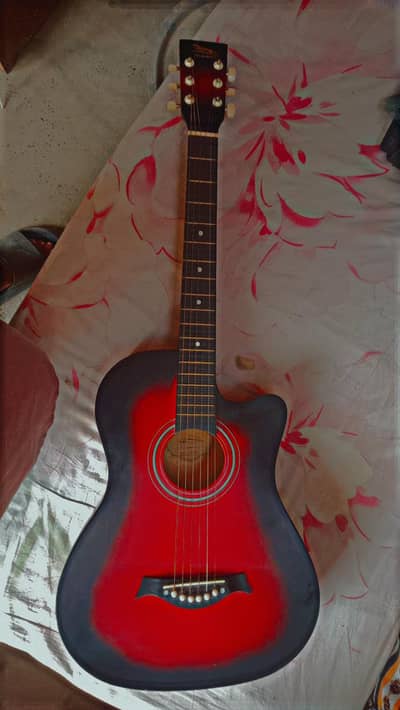 Guitar with Capo and Bag