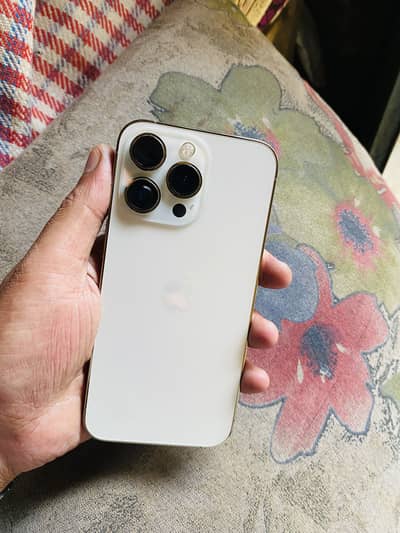 Apple iPhone 13 Pro waterpack airtight