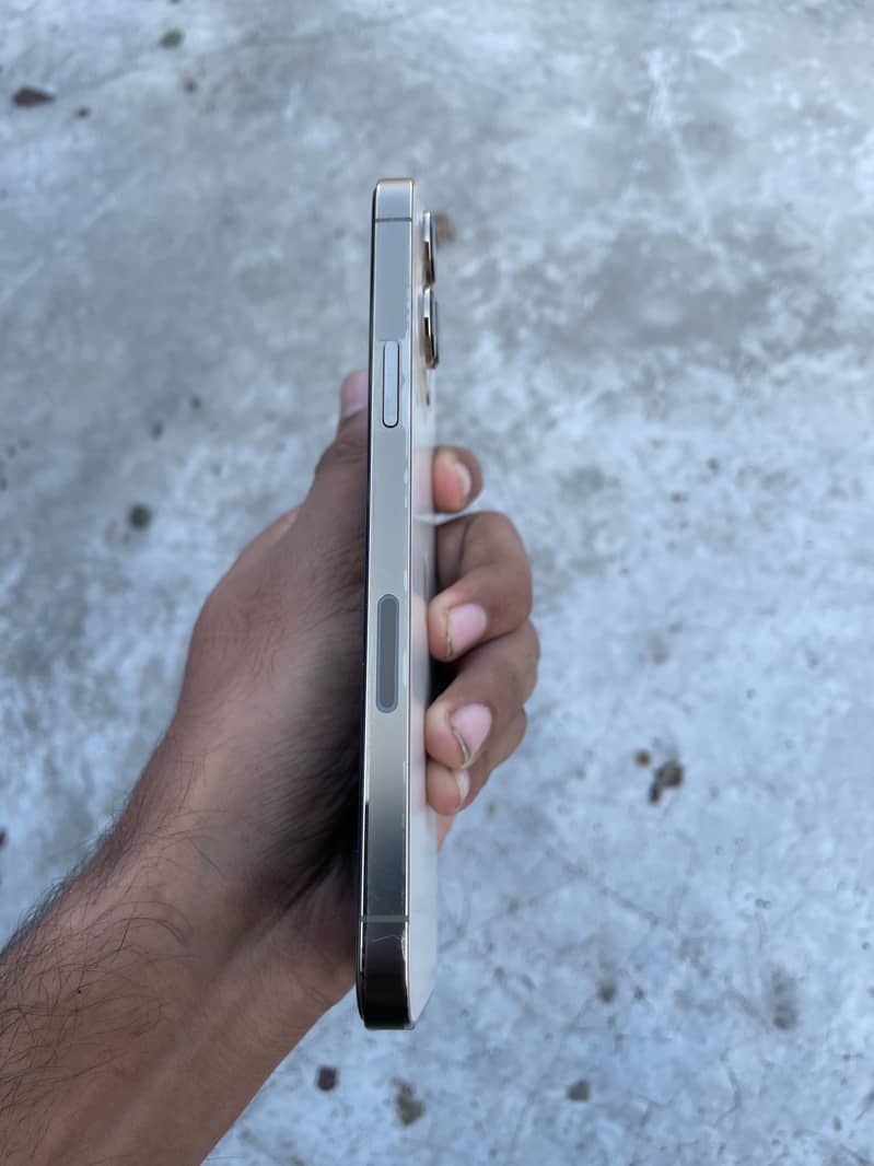 Apple iPhone 13 Pro Max 2