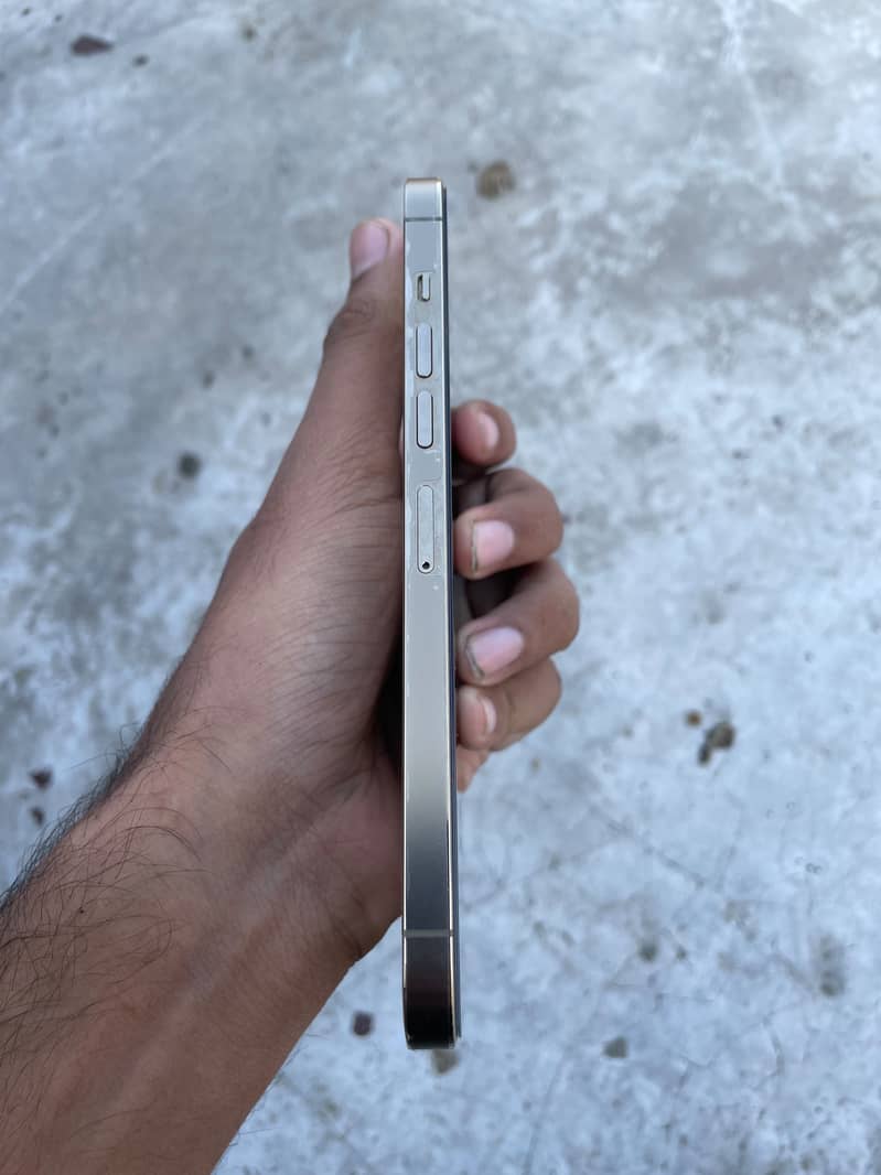 Apple iPhone 13 Pro Max 3