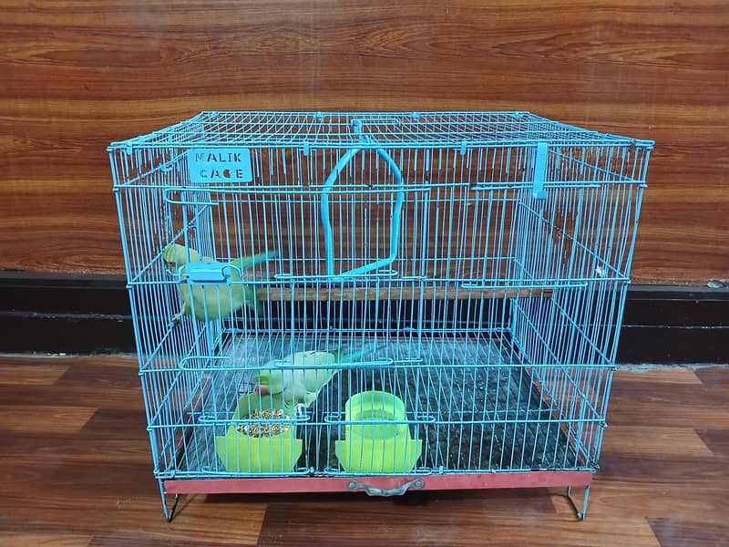 parrot 0