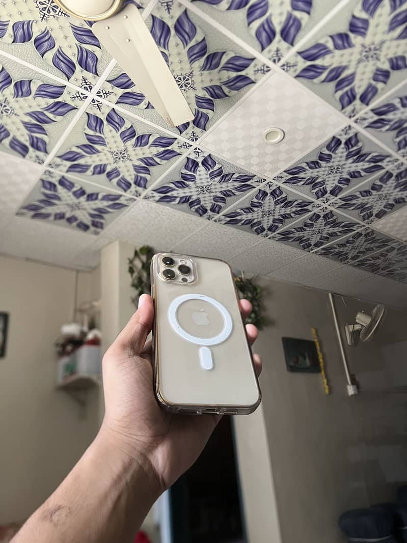 Apple iPhone 13 Pro Max 10