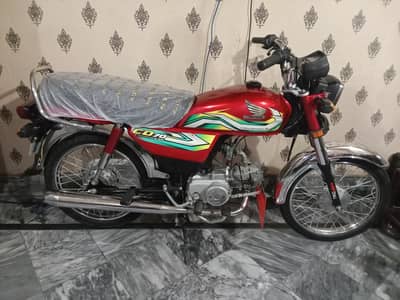 All Punjab number 2023