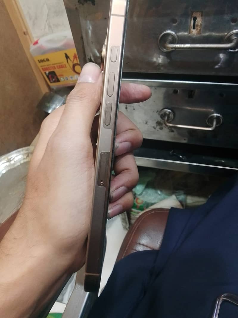 Apple iPhone 16 Pro Max 1