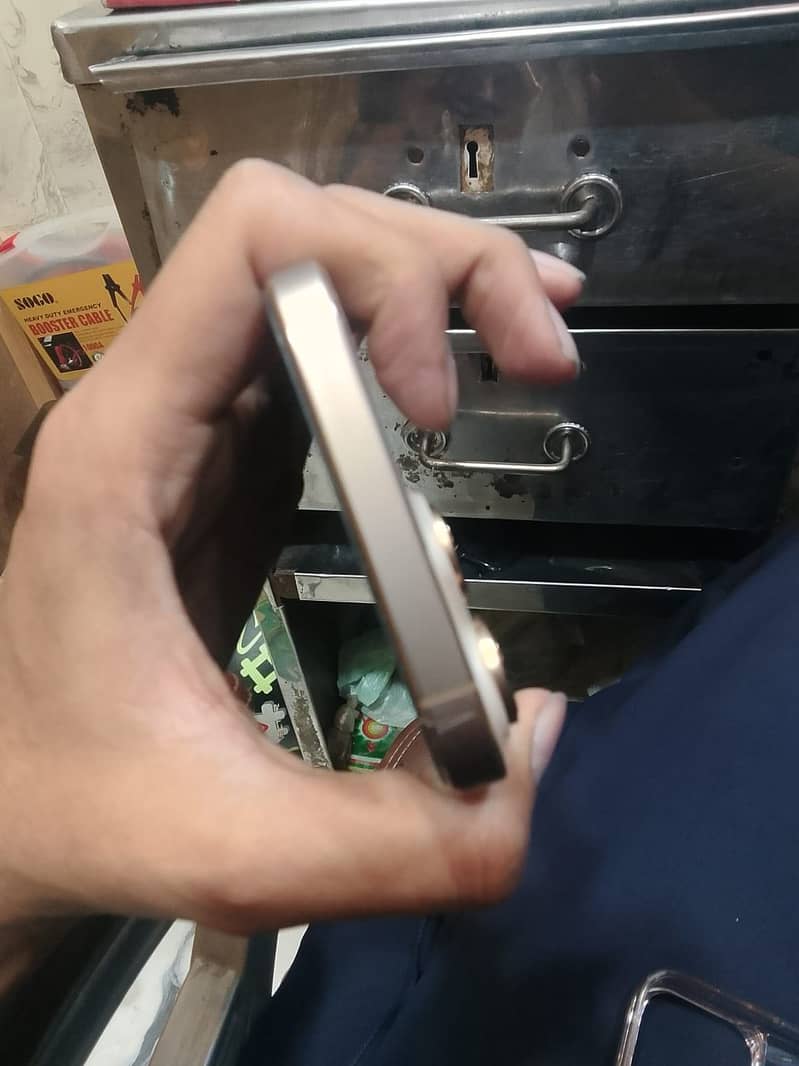 Apple iPhone 16 Pro Max 4
