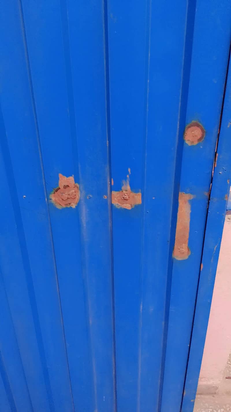 Single Palla Door 1