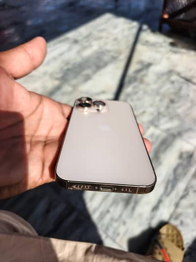 Apple iPhone 13 Pro sim time available