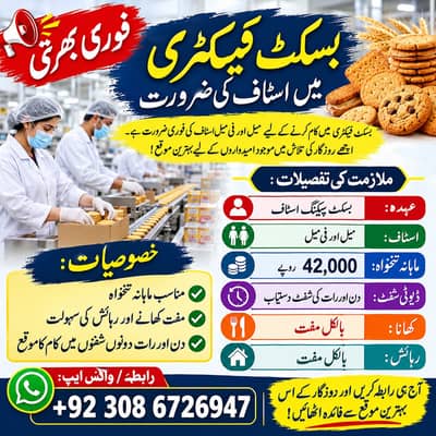 Biscuit Factory Packing Staff Required | Male & Female Factory Jobs