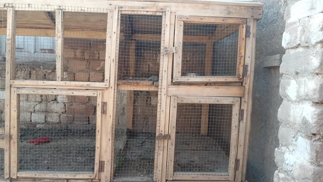 Hen Cage with 3 portions — photo 3