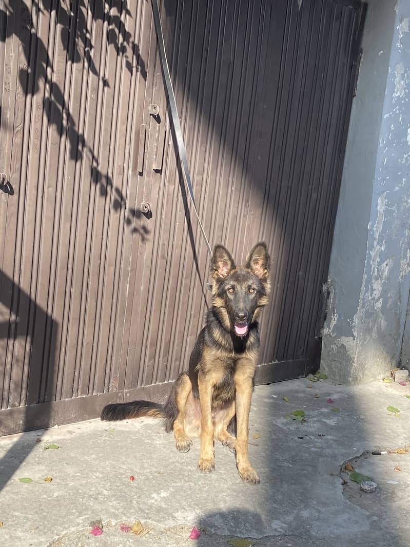 Gsd working line 0