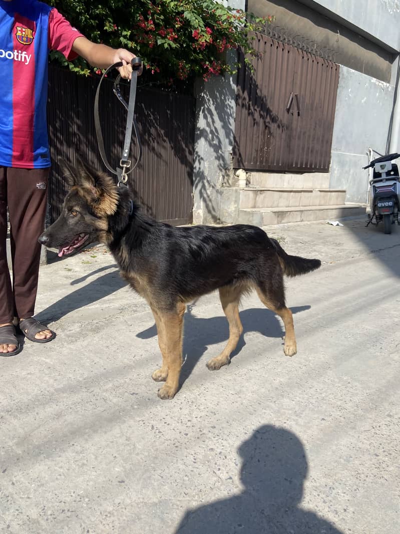 Gsd working line 2